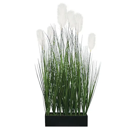 images/uploads/25058/thumb_24167 G.webp